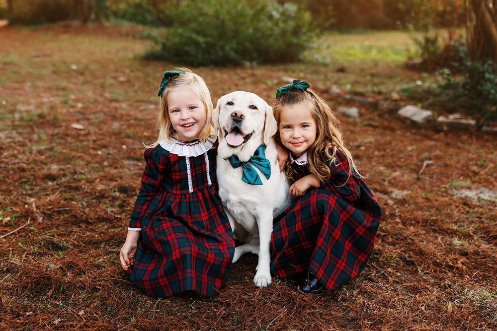 A yellow Labrador retriever poses with children wearing matching red plaid outfits during an outdoor autumn photoshoot.