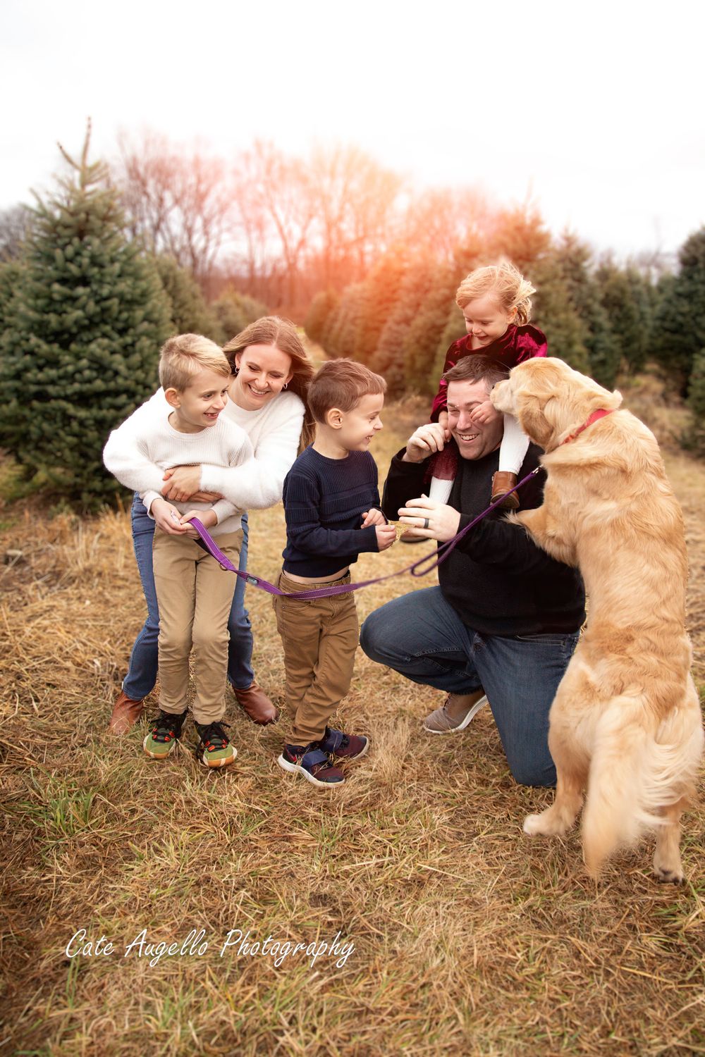A joyful family moment at a Christmas tree farm with their golden retriever at sunset.  Manchester, CT
