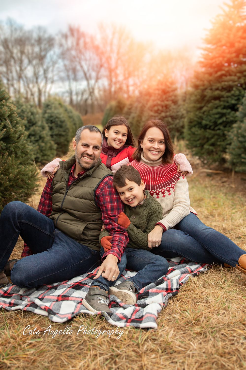 Family relaxing on plaid blanket at Christmas tree farm during sunset with warm golden light filtering through trees.  Glastonbury, CT
