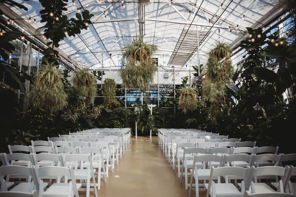 White ceremony chairs lined up in rows inside a sunlit greenhouse venue.