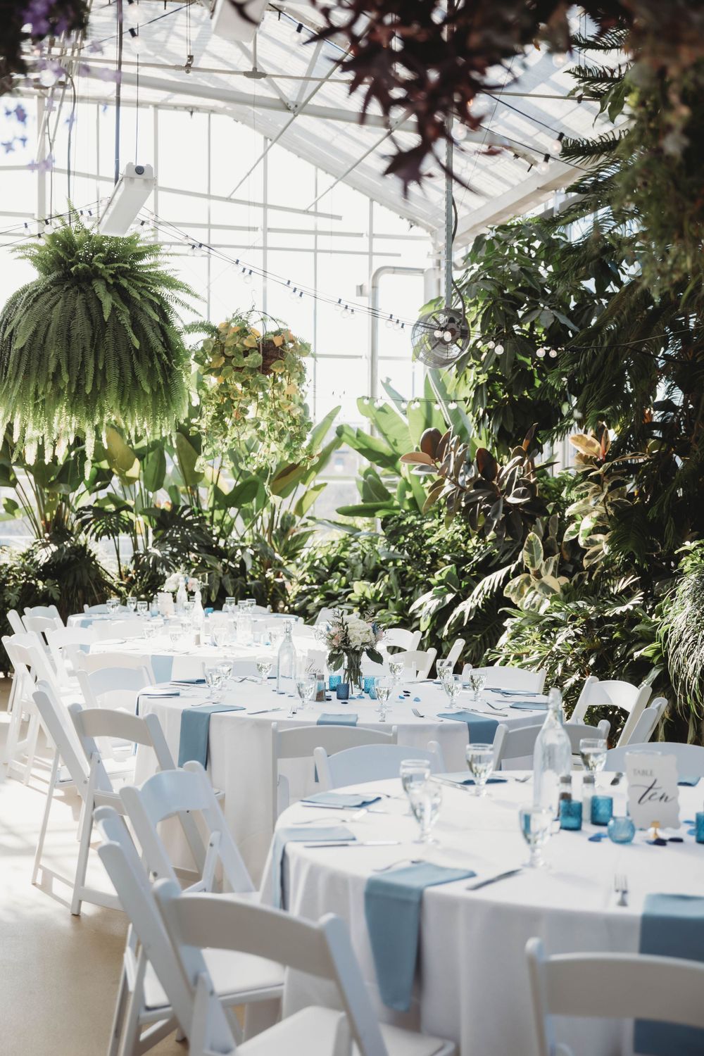 Elegant greenhouse wedding reception setup with white tables and blue accents among tropical plants.