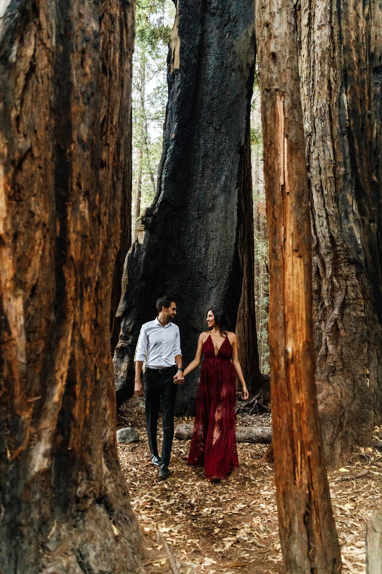 A couple holds hands walking between towering redwood trees, the woman in a flowing red dress in a forest.