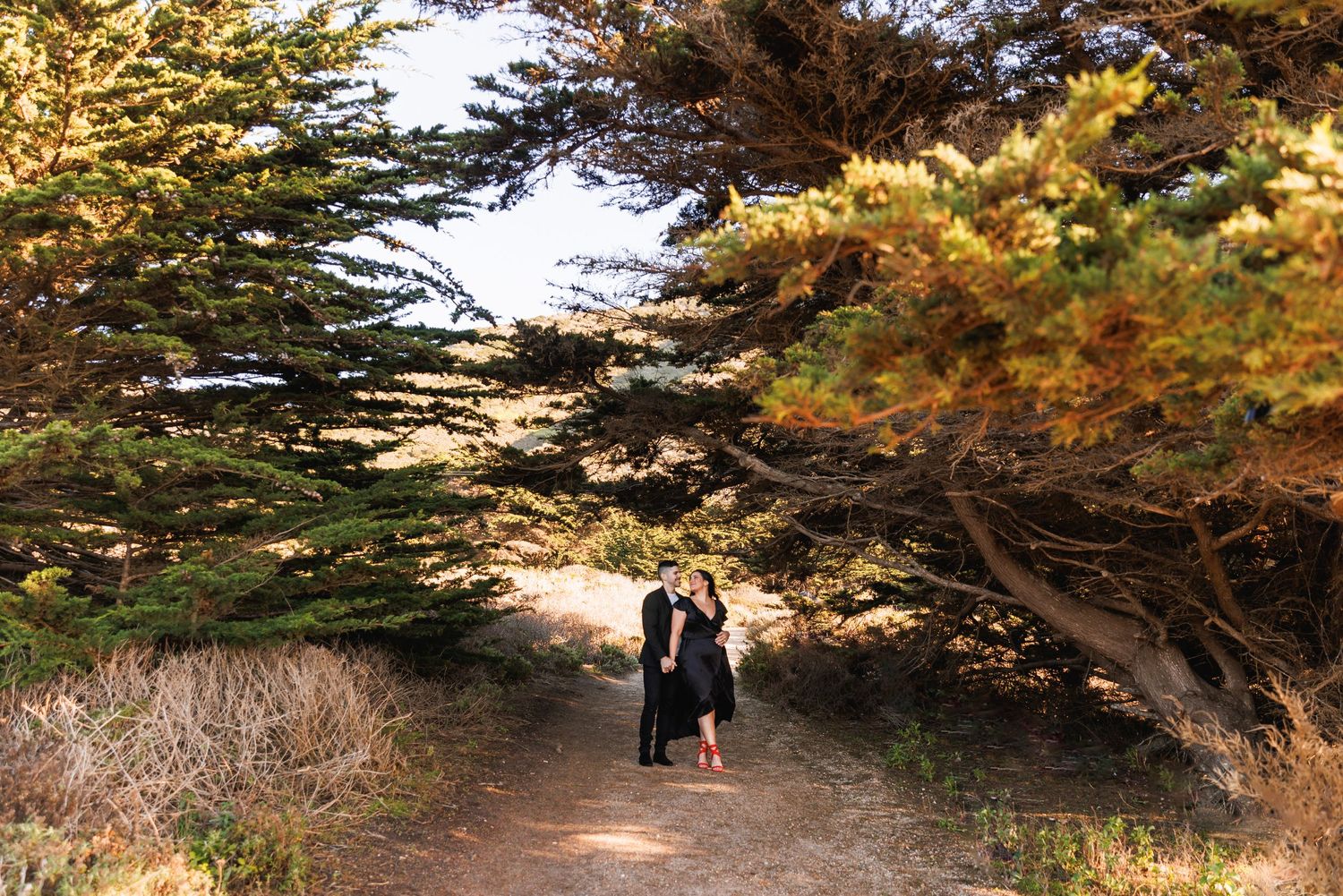 Couple embracing on shaded dirt path surrounded by large cypress trees in golden light.