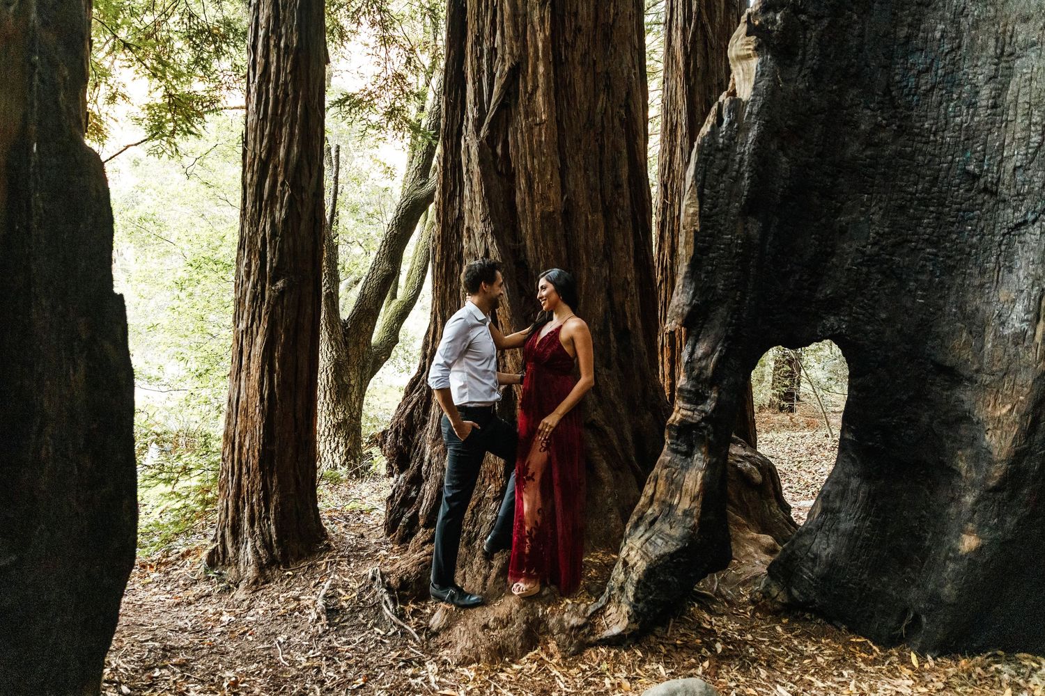 A couple stands close together among giant redwood trees, sharing an intimate moment in a sunlit forest.