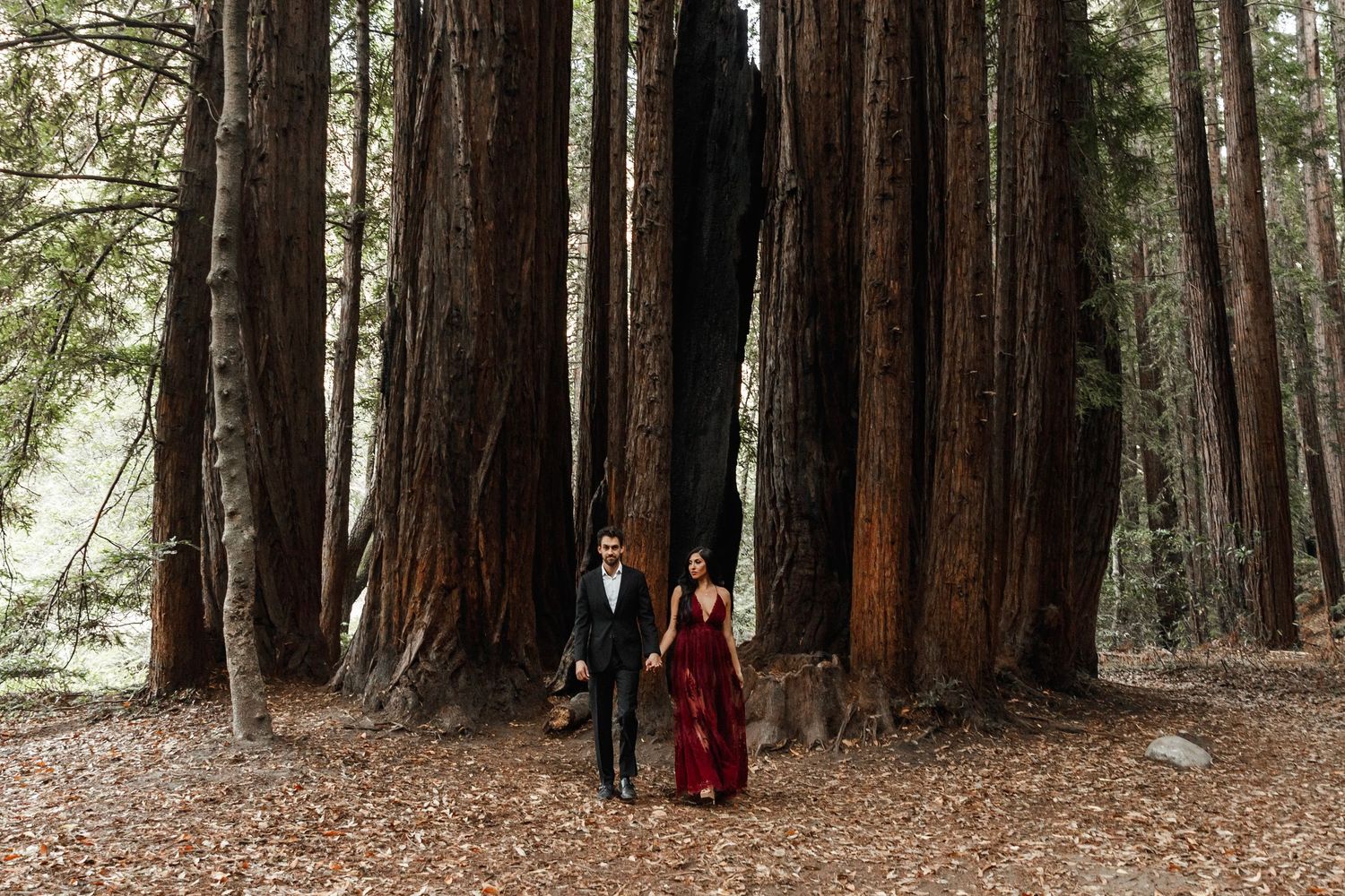 A couple walks hand in hand through a majestic redwood forest, the woman wearing a flowing burgundy dress.