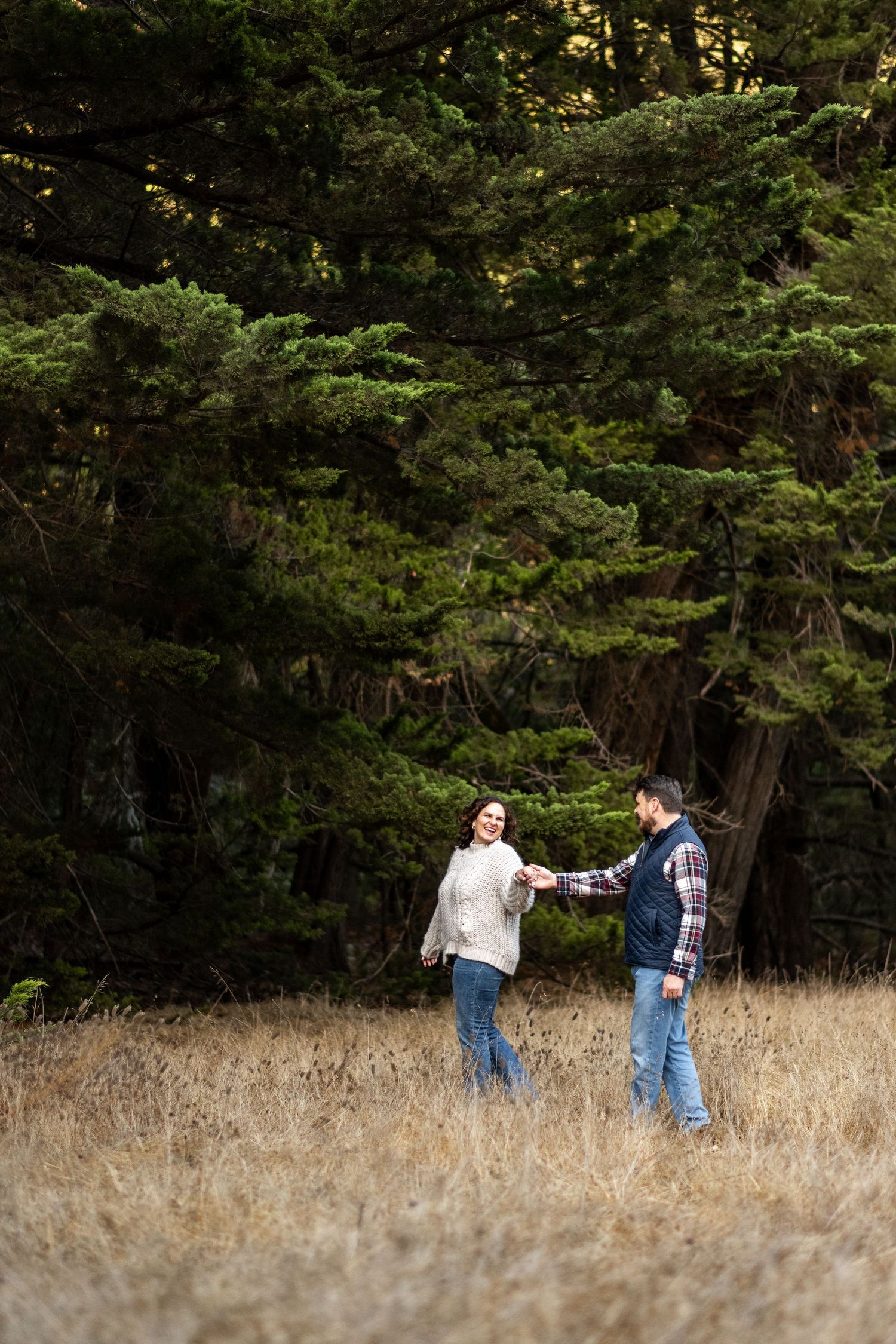Couple holding hands in a golden grass field surrounded by tall evergreen trees.