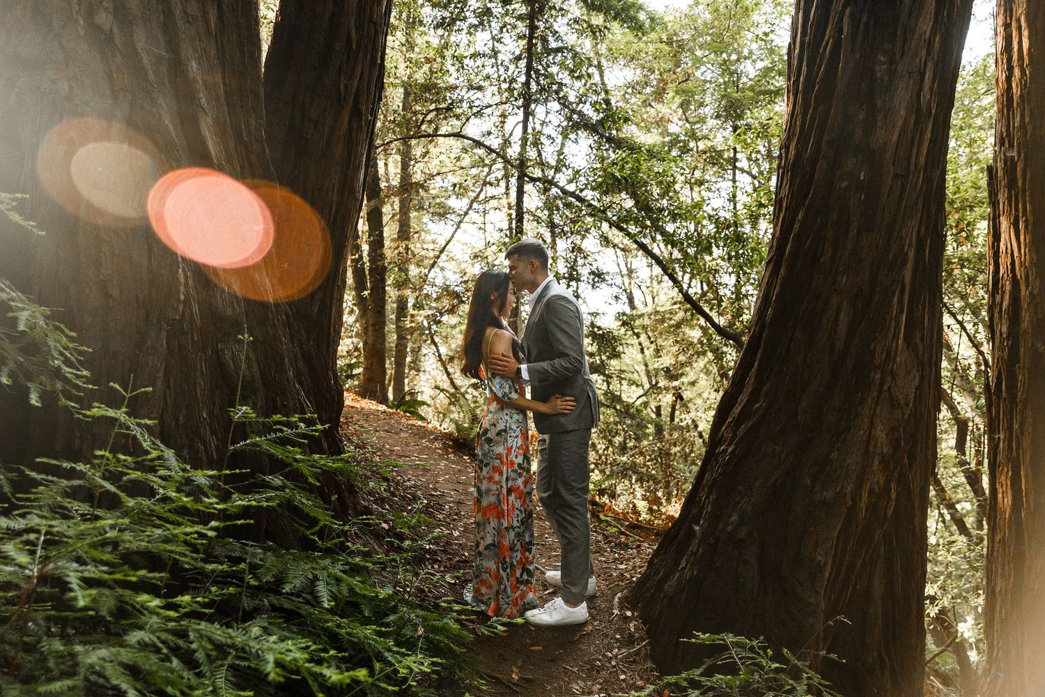 Couple sharing romantic kiss between towering redwood trees with golden sunlight streaming through forest.