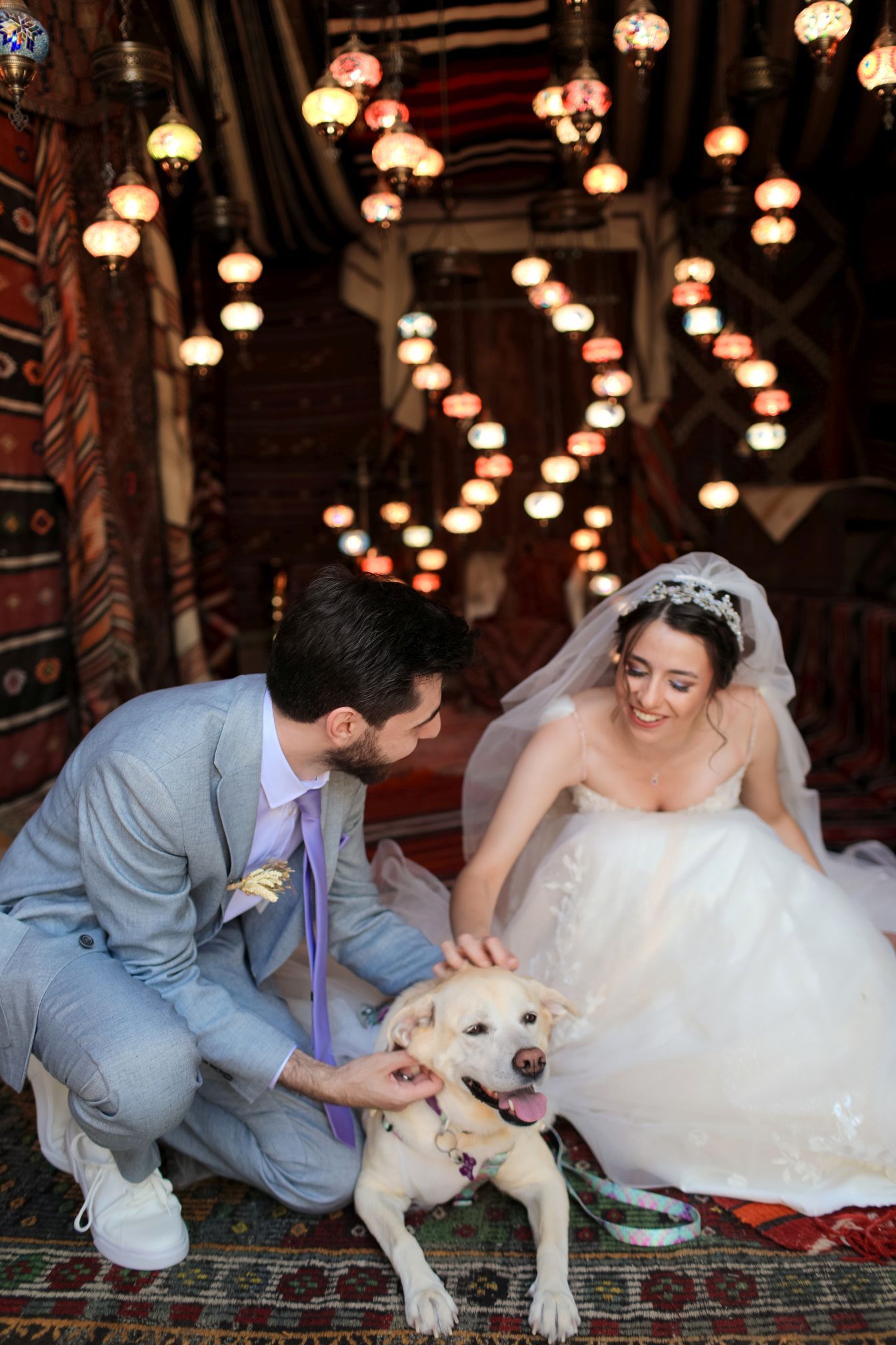 A wedding couple petting their golden retriever under ornate hanging lanterns.