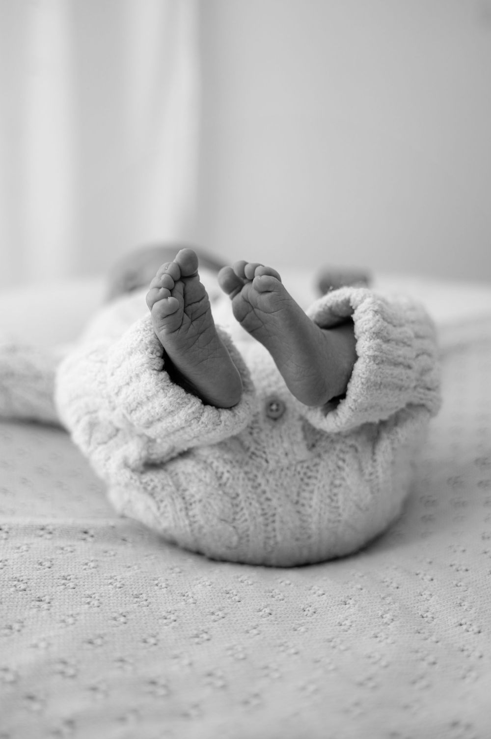 Little munchkins photography