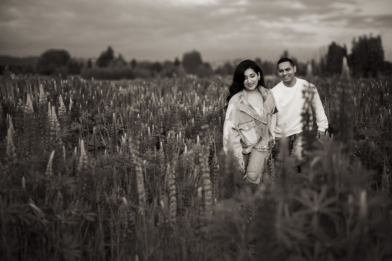 Aliza and Sheldon walk through a field of lupine in Puyallup during engagement session.
