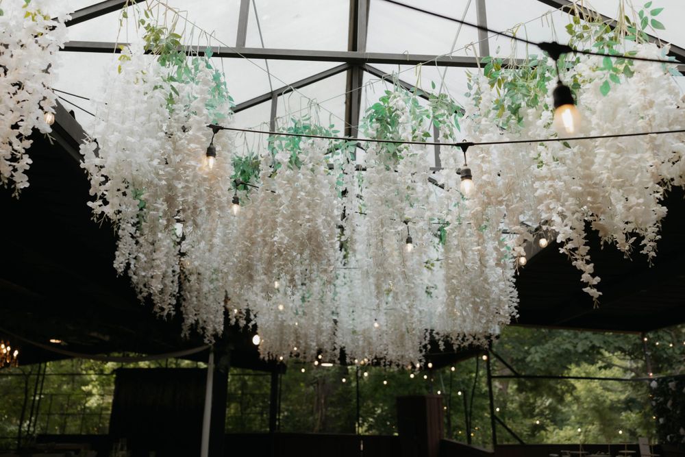 Stunning white wisteria flowers cascading from glass greenhouse ceiling with warm Edison bulb string lights.