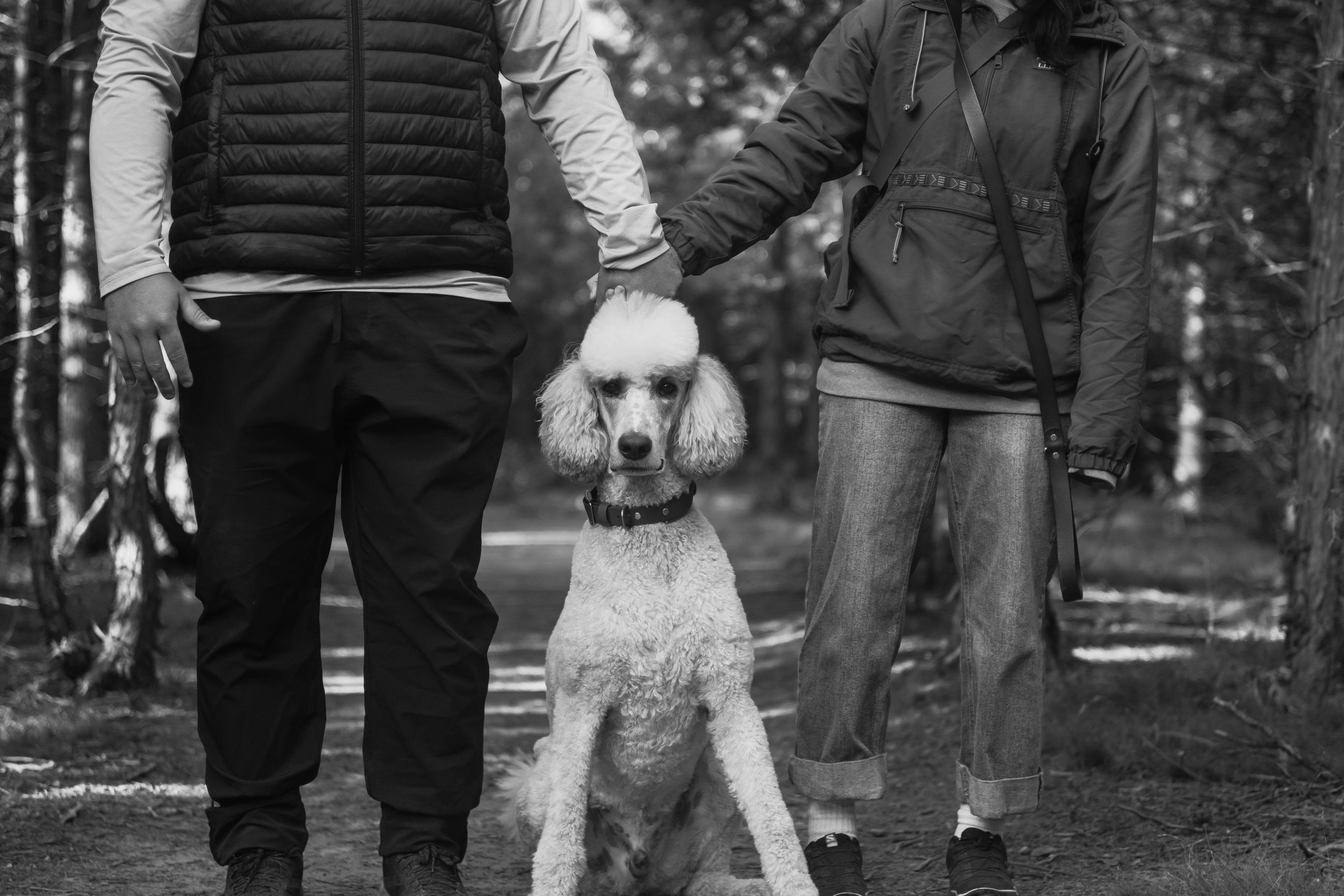 Group walking together outdoors in a wooded area with their white dog.