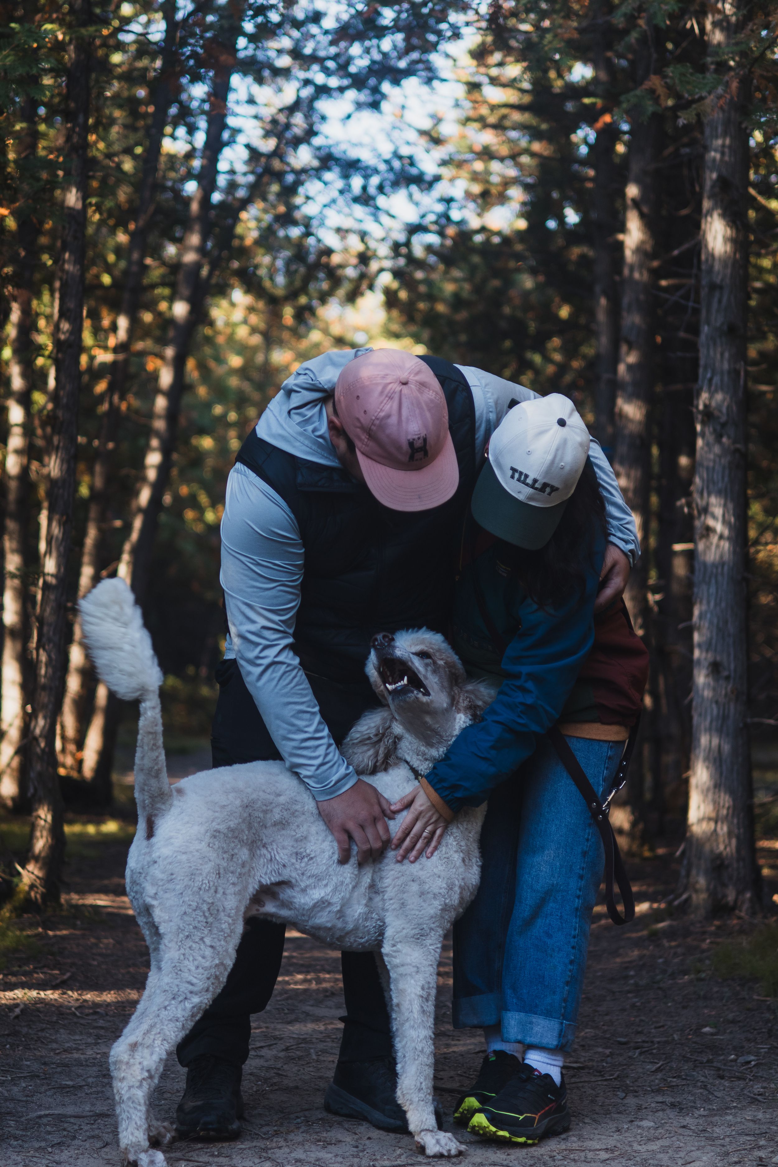 A person in casual clothing bends down to pet a fluffy white dog in a wooded forest setting during golden hour.
