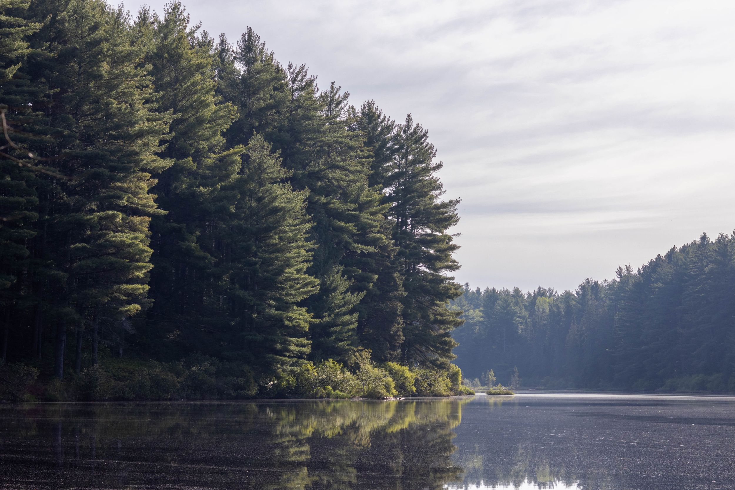 Serene lakeside landscape with evergreen trees reflecting on calm water under cloudy skies.