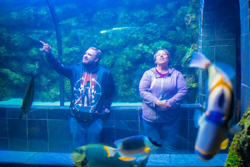 Two visitors observe colorful tropical fish through a large aquarium window at a public aquarium.