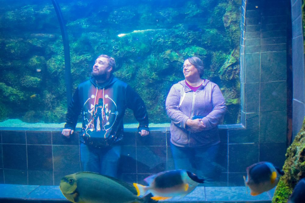 Visitors watch tropical fish swimming by in a large aquarium display with vibrant blue water.