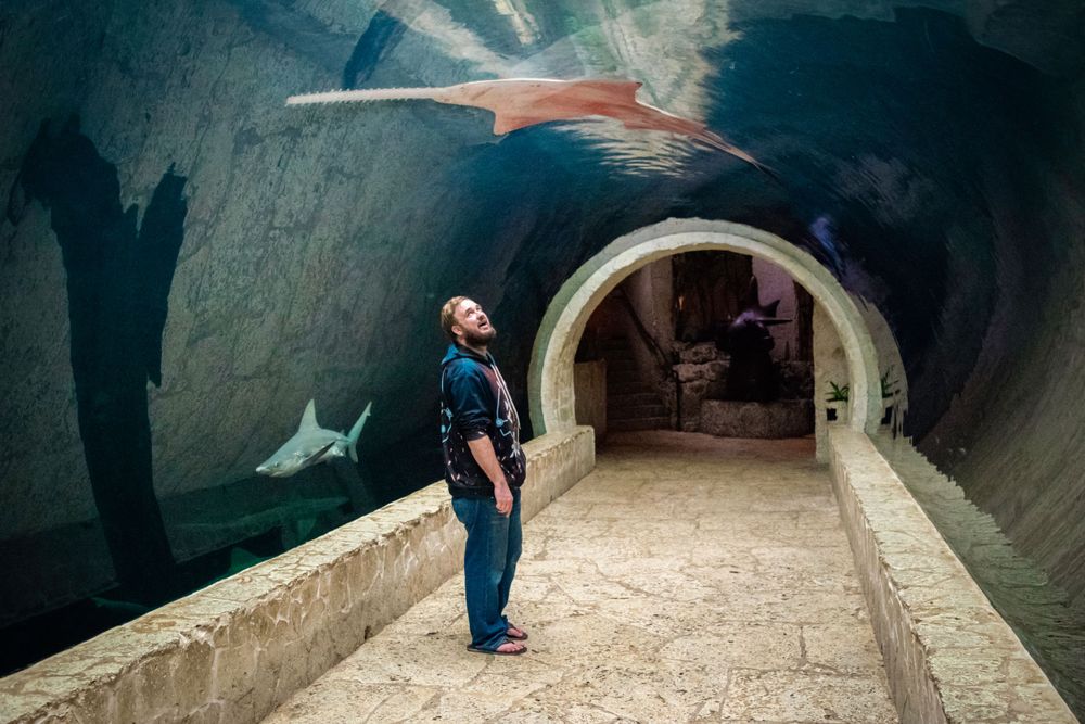 A visitor stands in an aquarium tunnel while shark models swim overhead in the blue lighting.