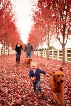 Two people walk with a child and dog along a fall path lined with red trees and white fencing.