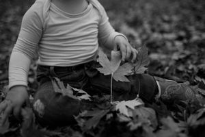 Small hands hold and explore autumn leaves on the ground.
