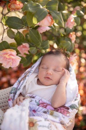 Sleeping newborn wrapped in floral blanket under blooming pink roses.