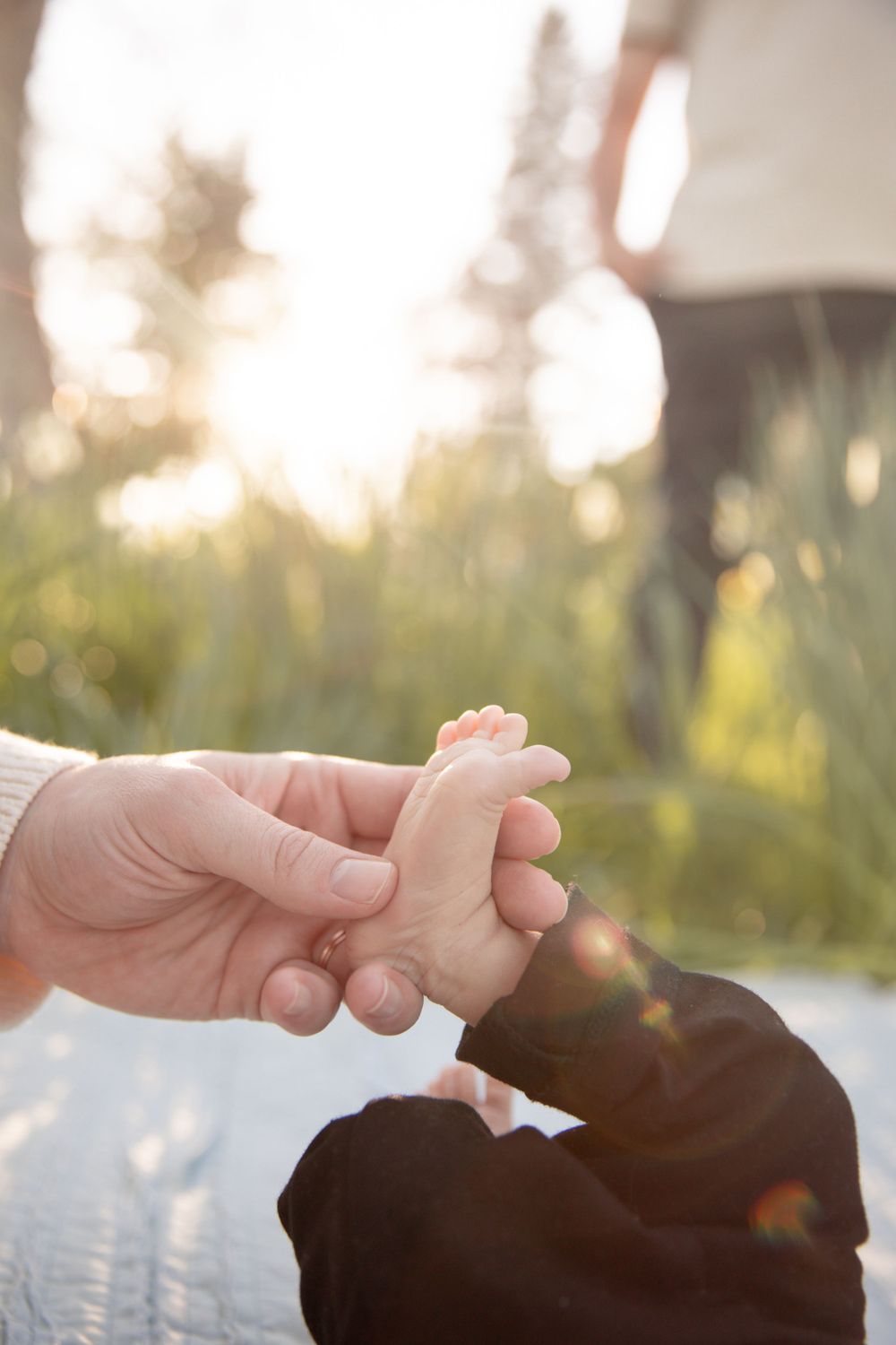 Close-up of tiny baby foot being held by adult hand in soft sunlight.