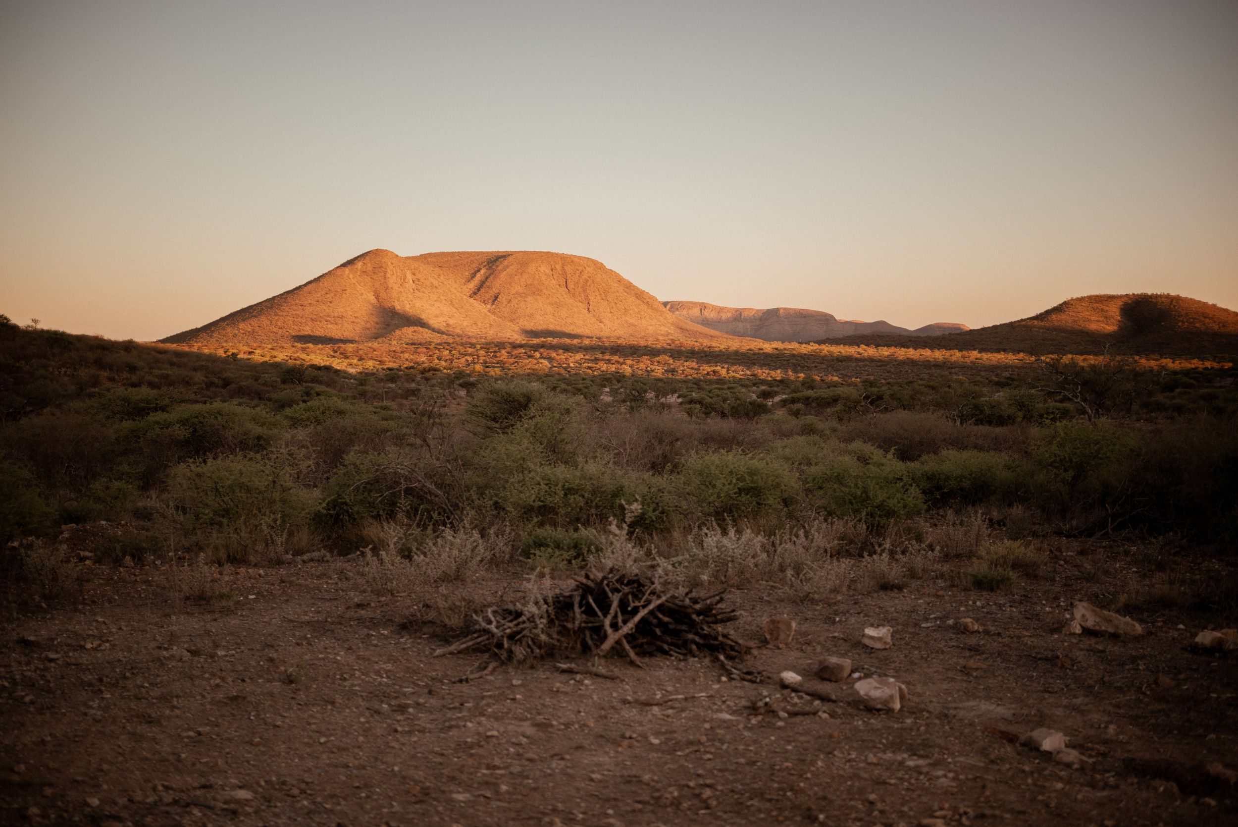 Desert landscape with red mountains and scrubland at sunset.