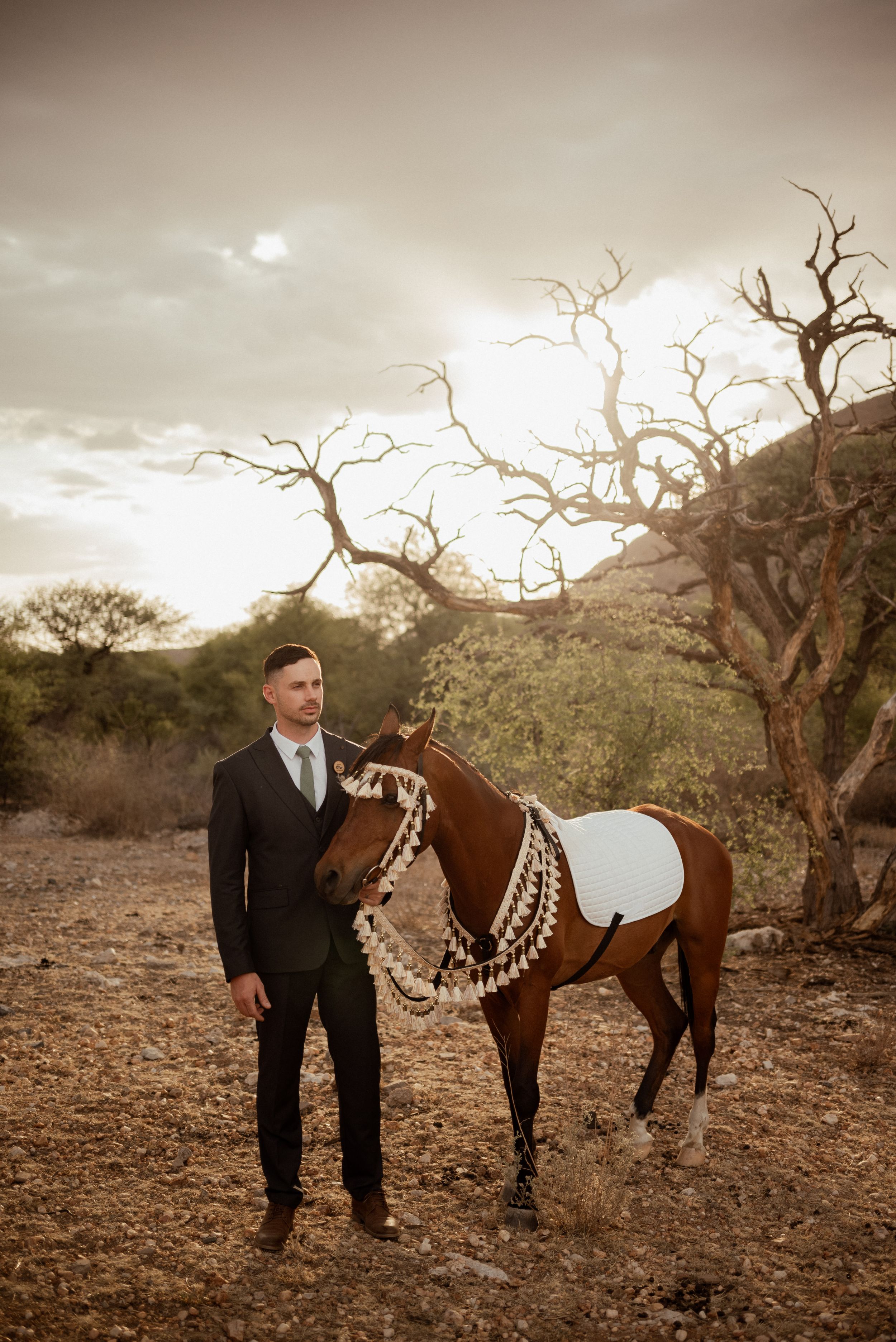 Horse with elegant decorative tassels stands with figure in formal attire against desert landscape at sunset.