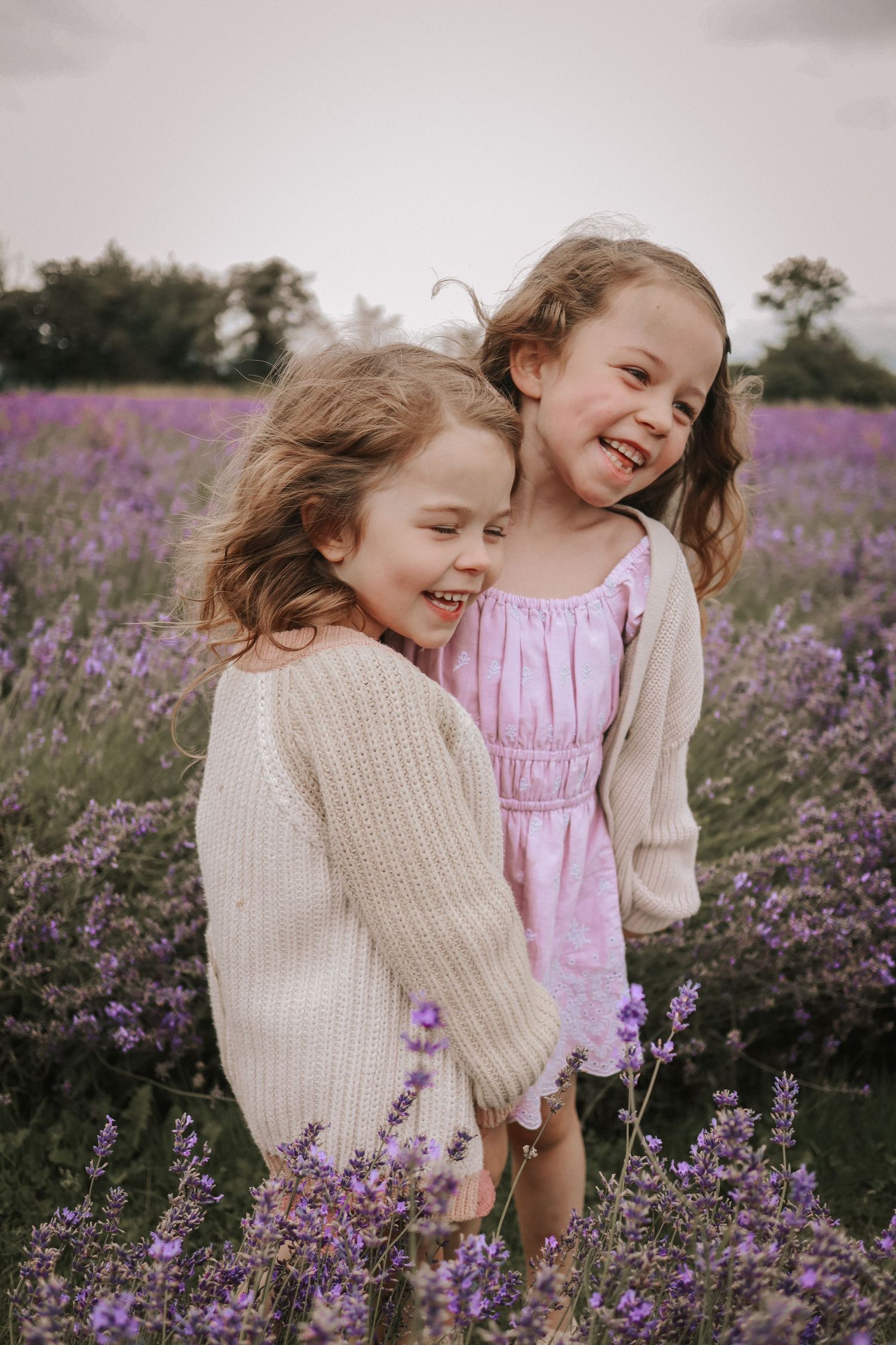 Sisters share a joyful moment together while sitting in a blooming purple lavender field.