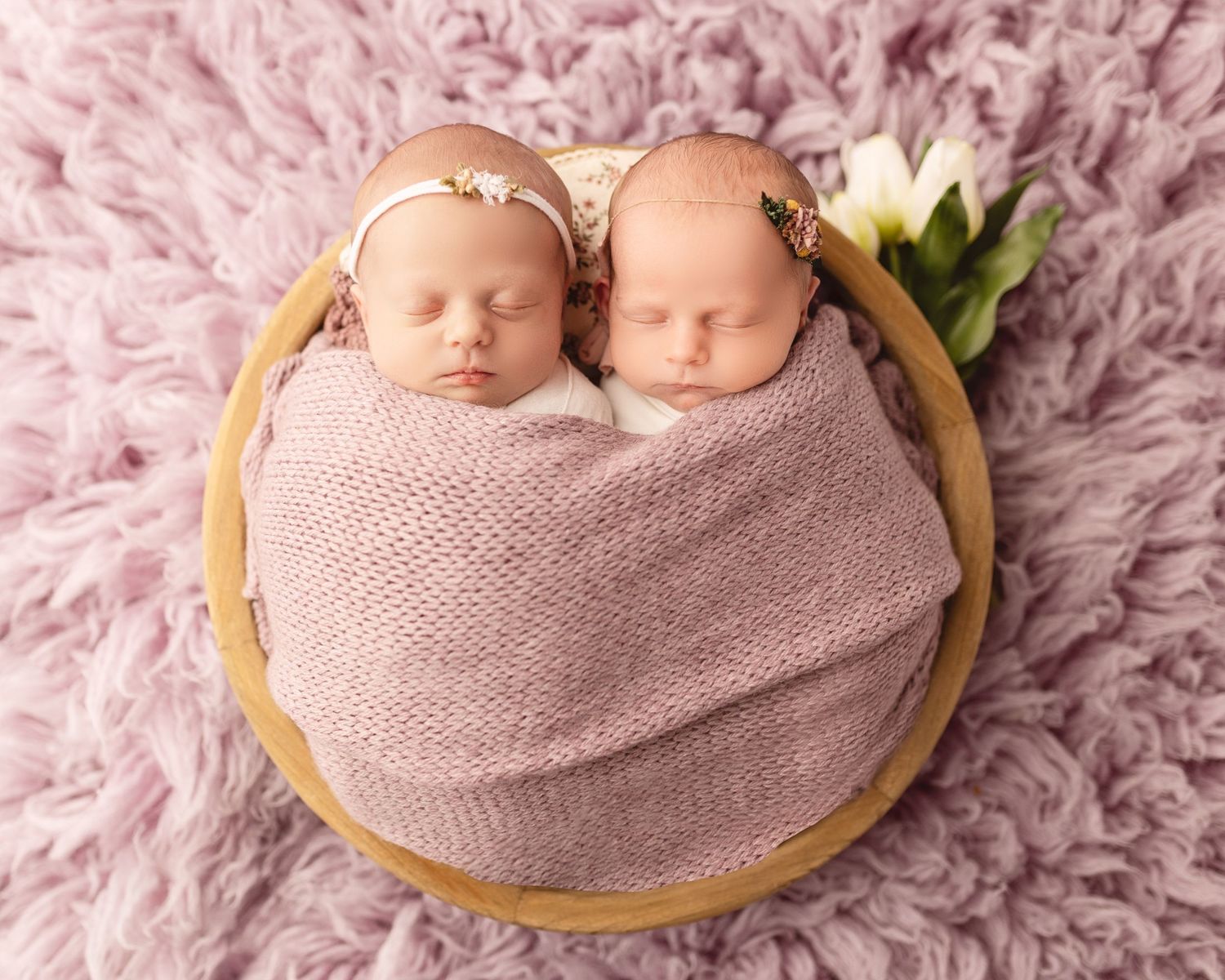 Twin studio newborn session, Fort Wayne Indiana
