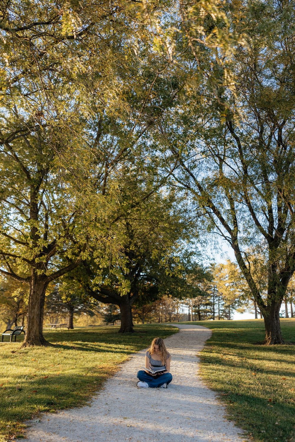 Autumn path lined with golden trees and fallen leaves in a serene park setting.