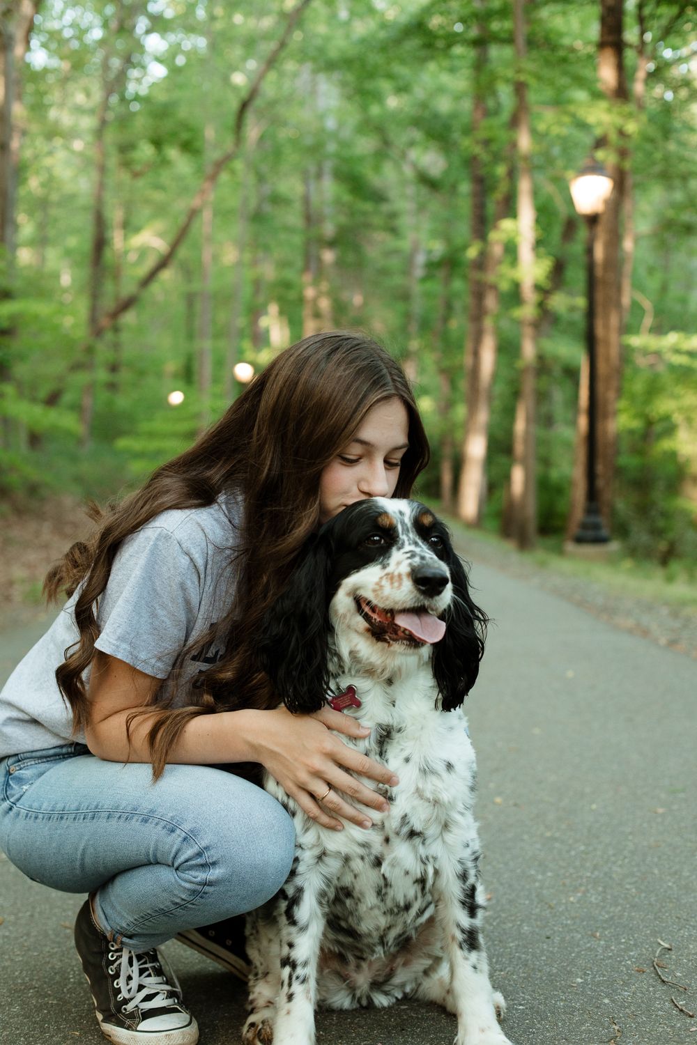 A person hugging their black and white spaniel dog on a forest trail.