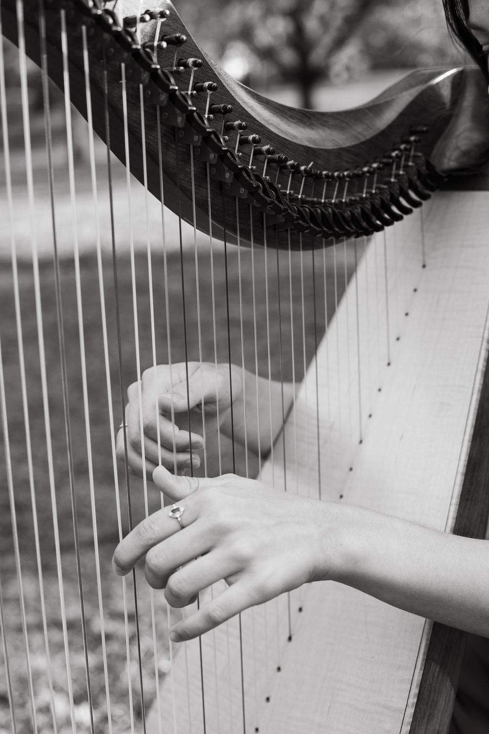 Black and white detail shots of fingers plucking harp strings.