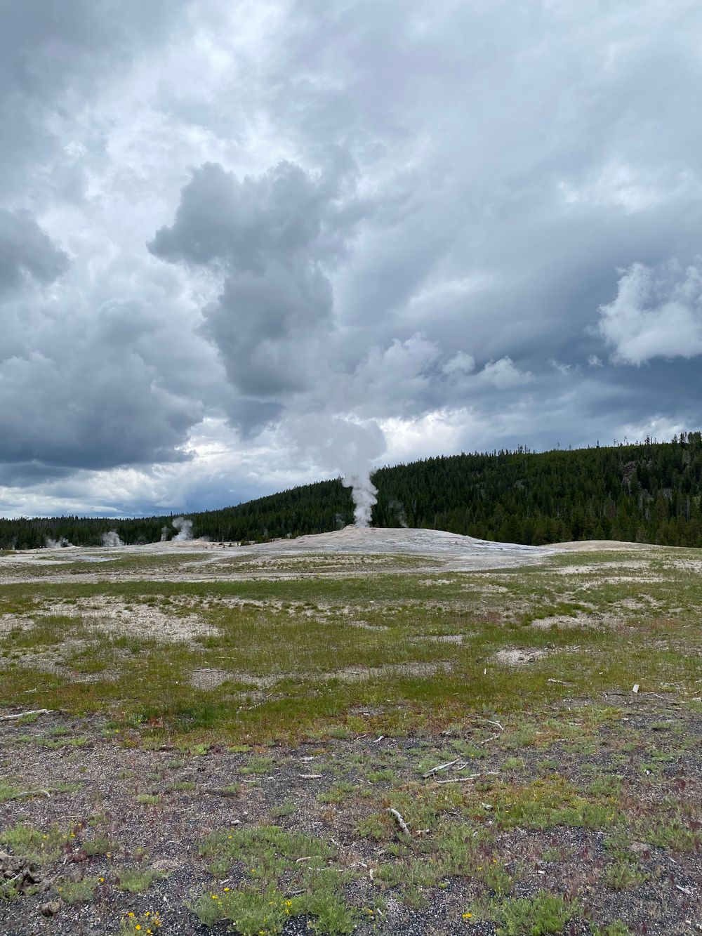 Geothermal landscape with steam vents under stormy skies in Yellowstone.