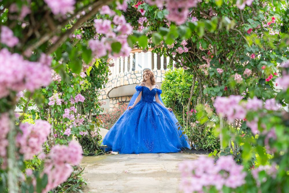 Royal blue princess gown framed by pink flowering archway in garden setting.