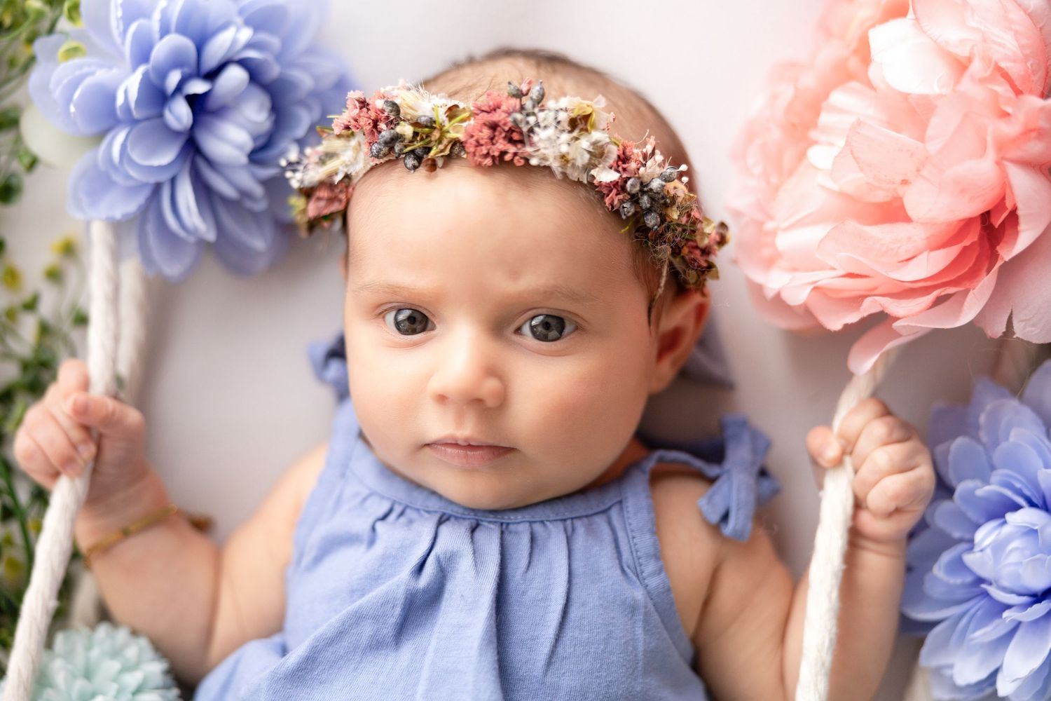 Artistic newborn portrait with periwinkle and pink flower decorations against white background.