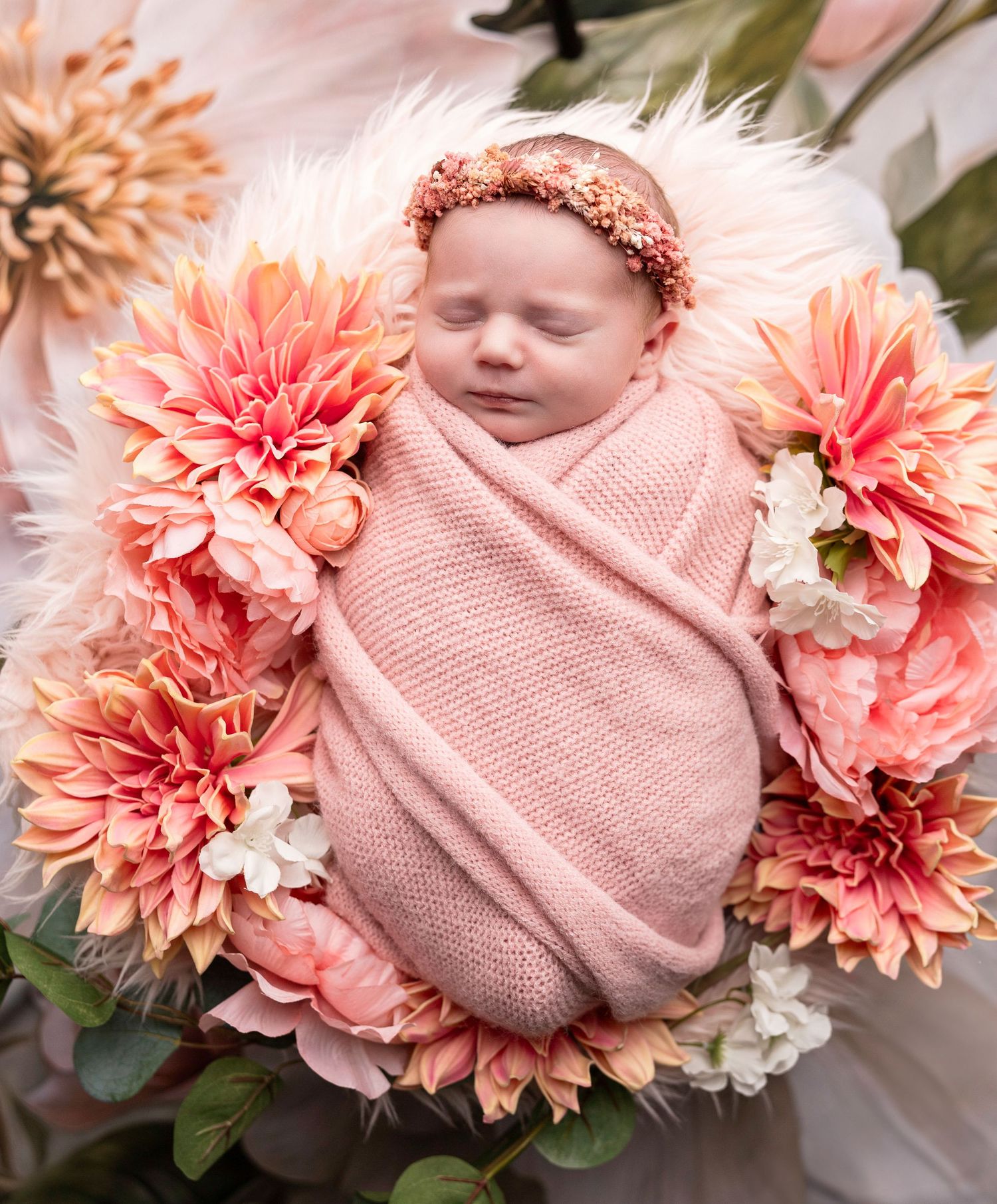 Artistic newborn portrait surrounded by coral dahlias and pink wrapping.