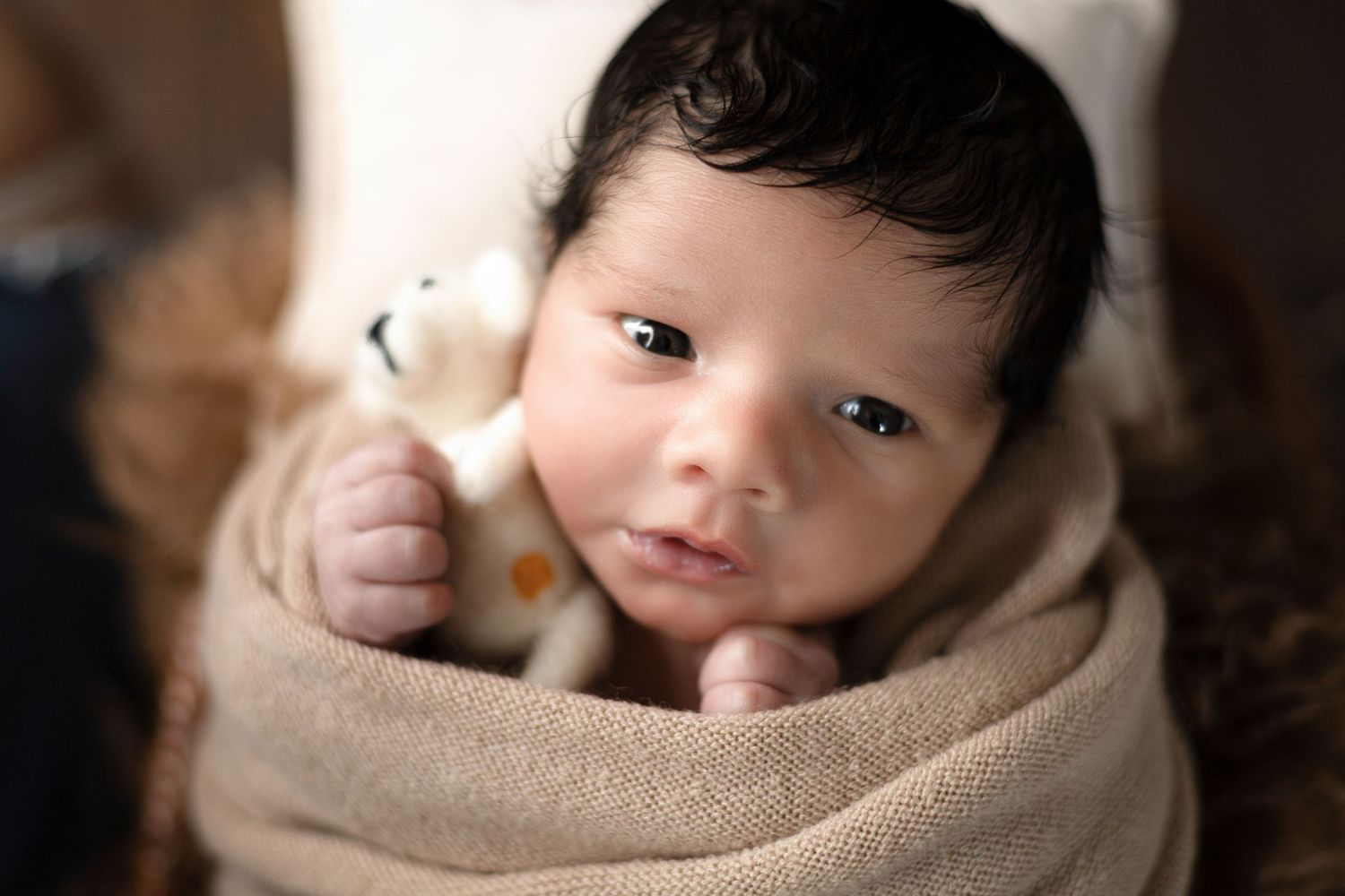 Newborn baby wrapped in soft brown blanket during professional photo session.