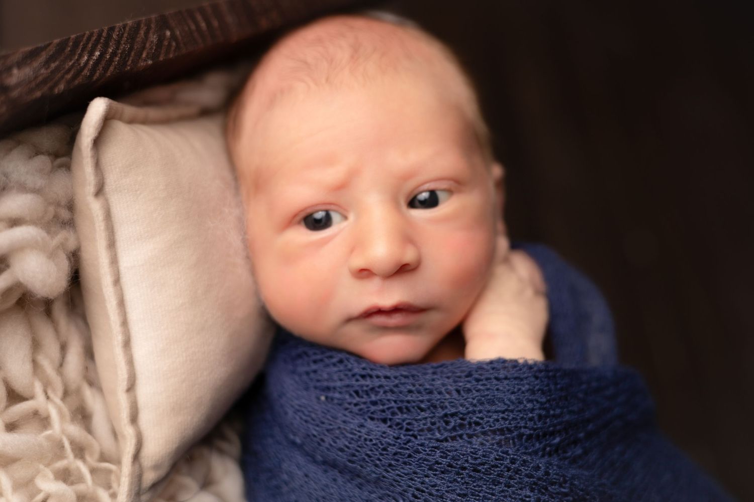 Artistic newborn portrait in navy wrap against dark dramatic background.