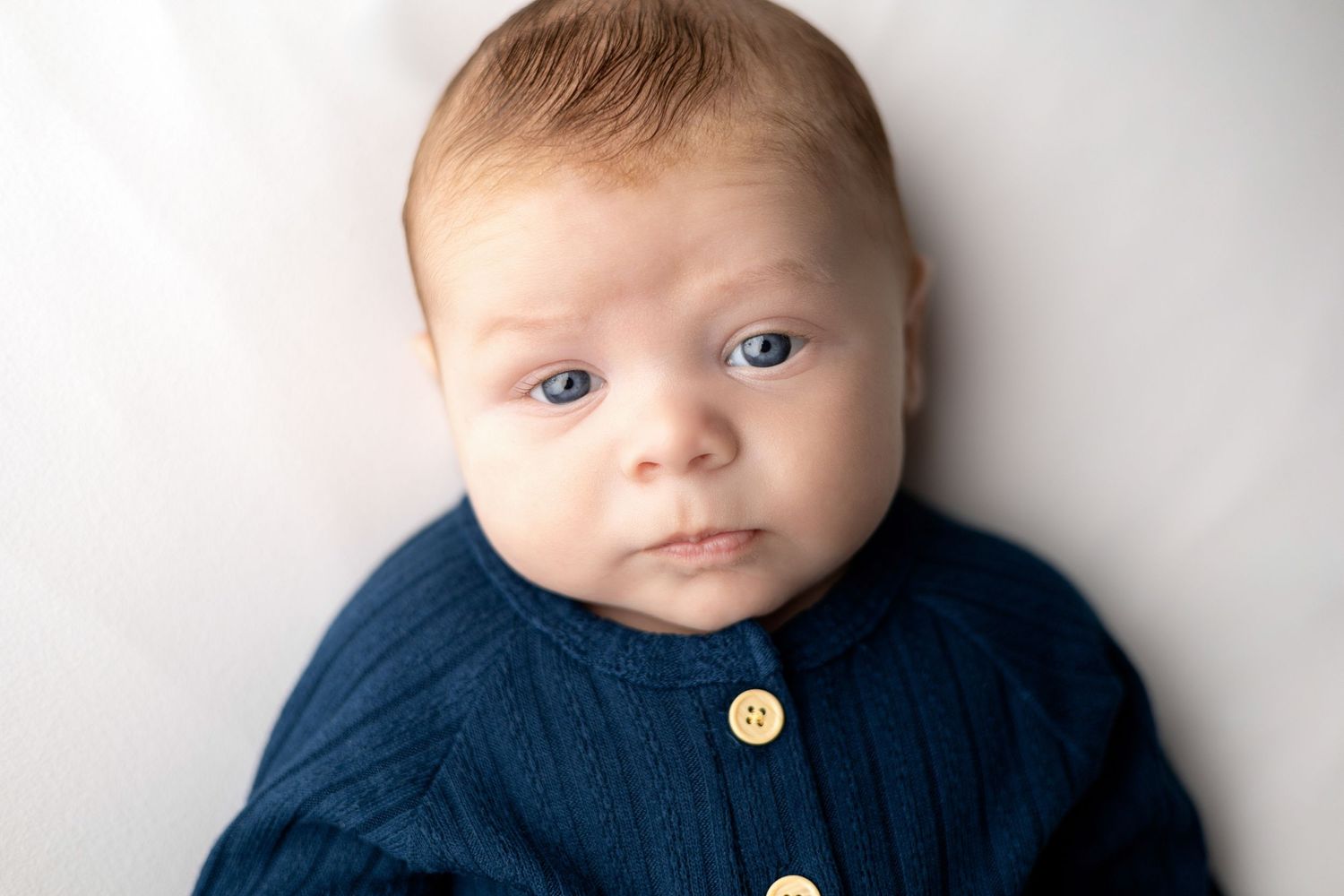 Newborn baby wearing navy blue sweater against light gray background in professional portrait series.