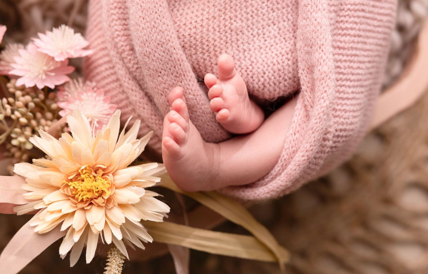 Close-up of baby feet wrapped in pink knit blanket next to pink gerbera daisy.