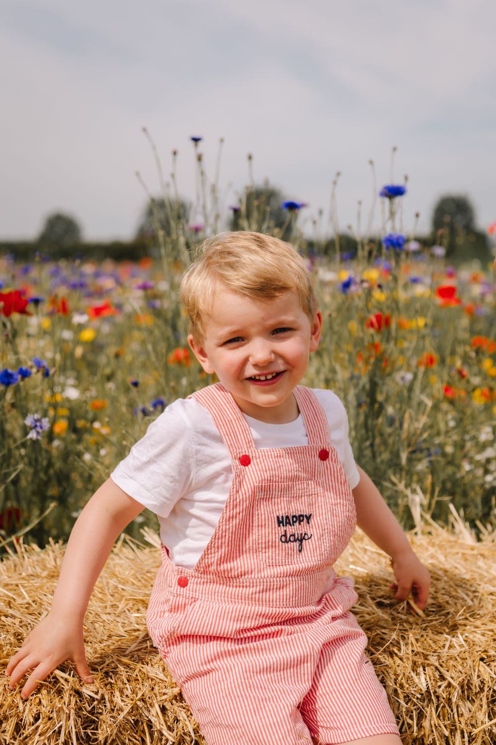 Smiling toddler boy in red striped Happy Days overalls sitting on hay bale in colorful wildflower field.