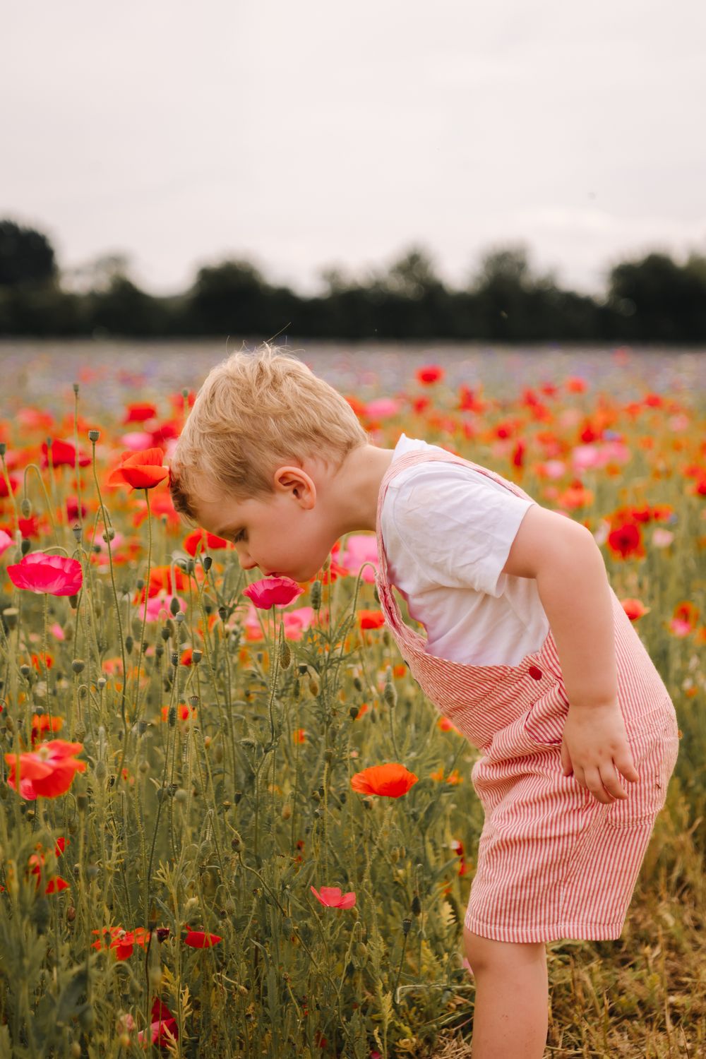 Young blonde boy bending down to smell red poppies in a vibrant flower field on a cloudy day.