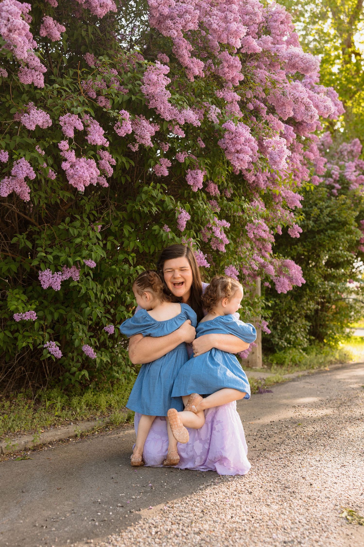 A heartwarming family scene under blooming pink lilac bushes along a path in spring.
