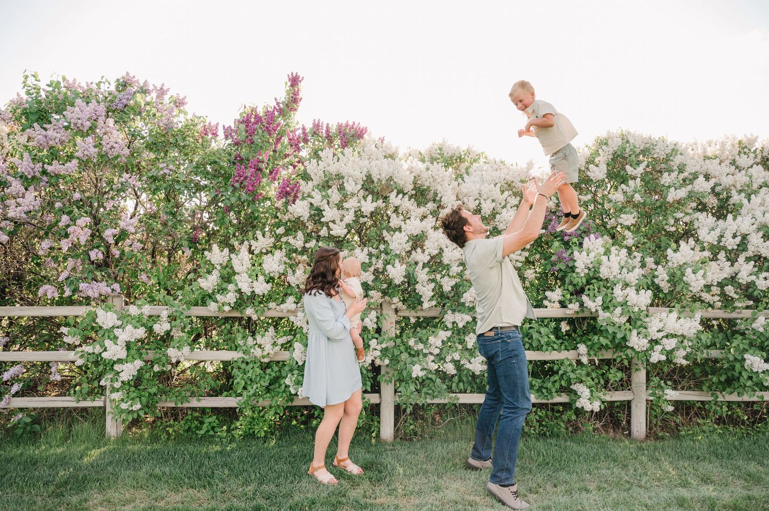 A family plays together in a garden against a backdrop of blooming lilac bushes and a white fence.