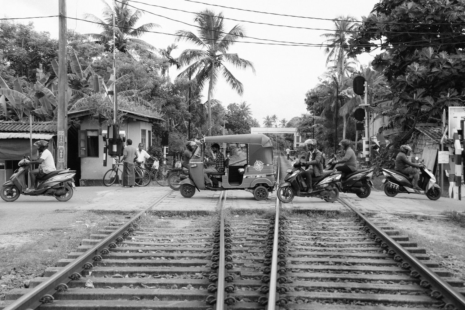 Railroad tracks cutting through a tropical village with palm trees and buildings.