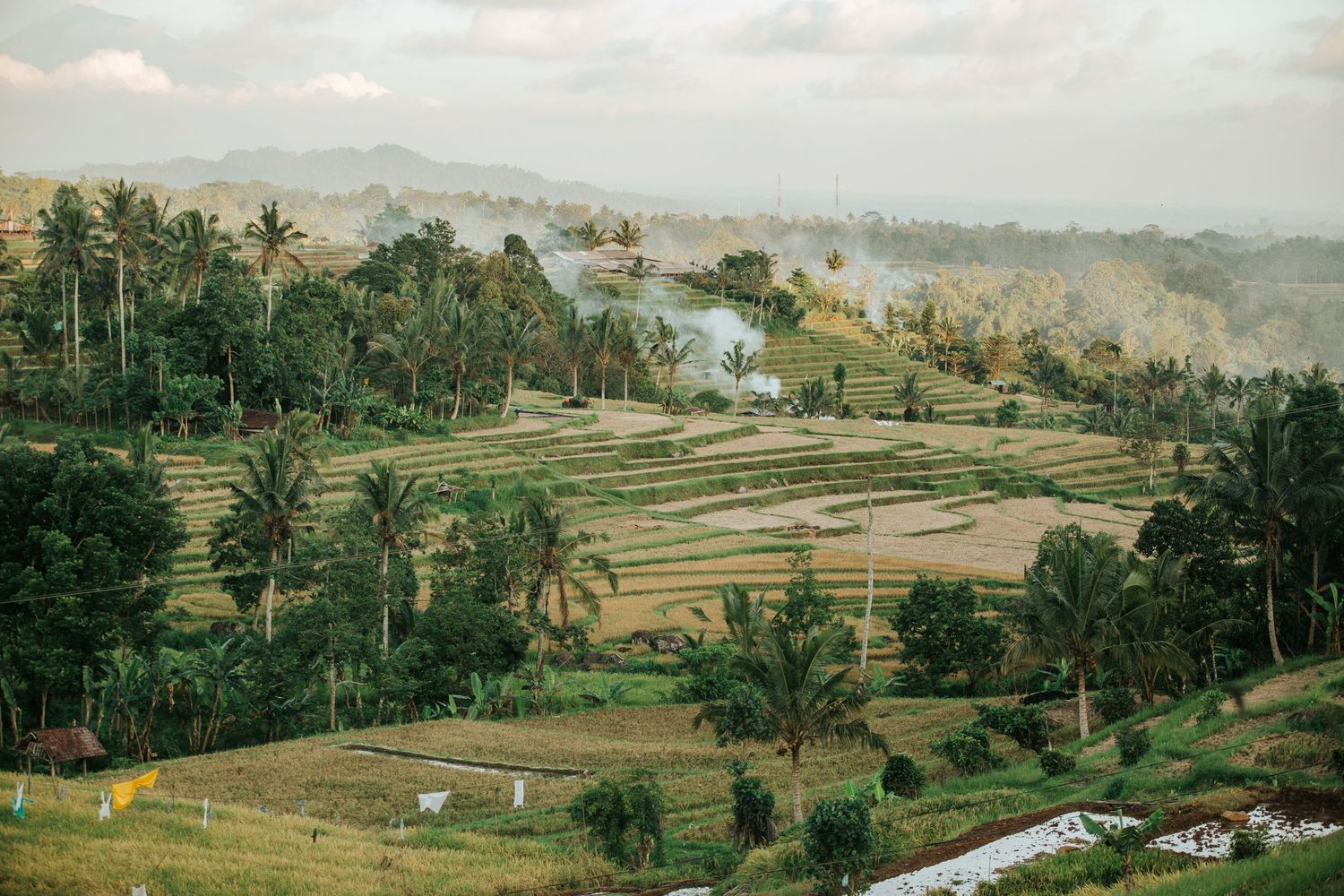 Panoramic view of terraced rice fields and rural houses nestled in tropical landscape.