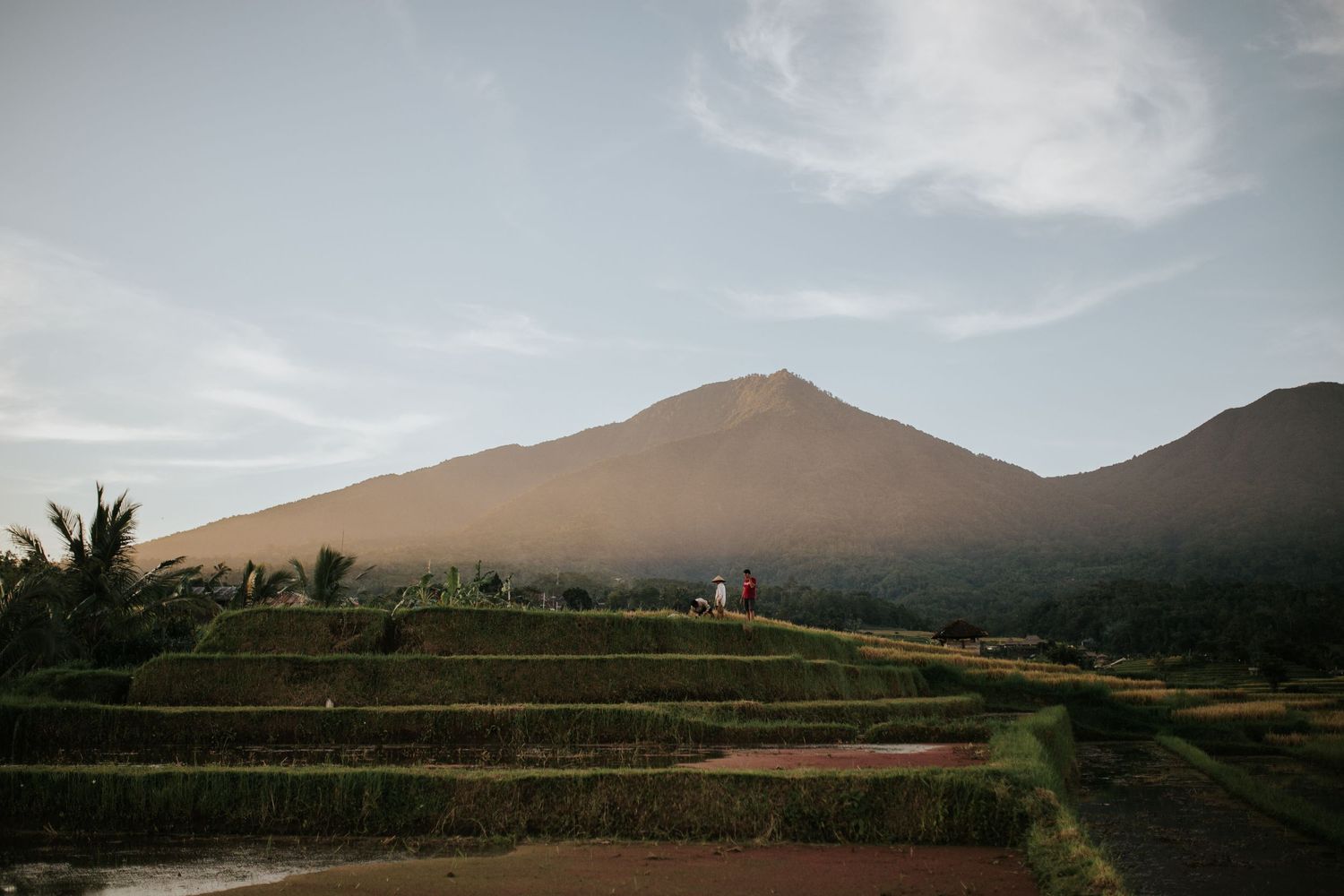 Panoramic view of mountain ranges and agricultural terraces under cloudy skies.