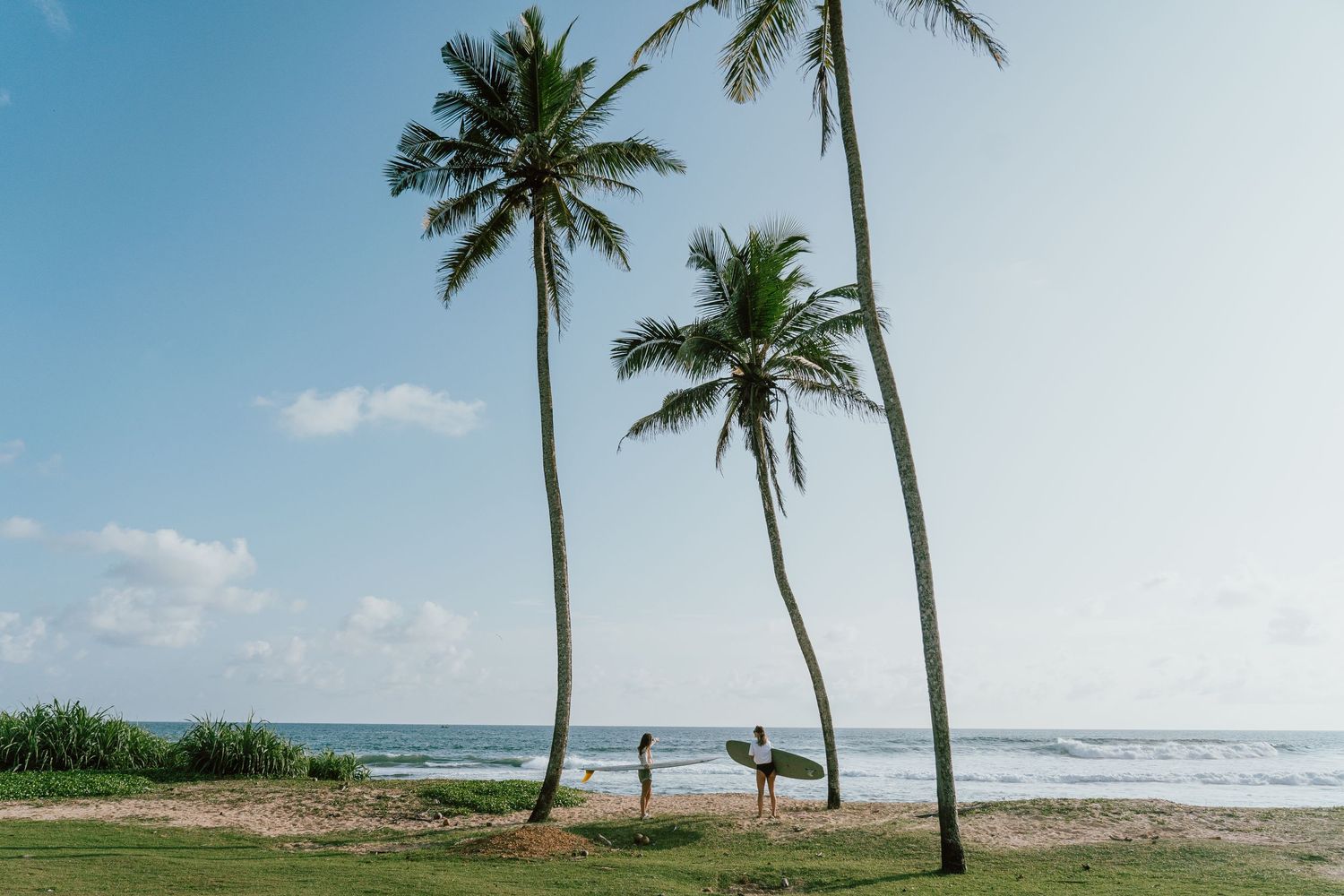 Palm trees line a tropical beach coastline under bright blue sky.