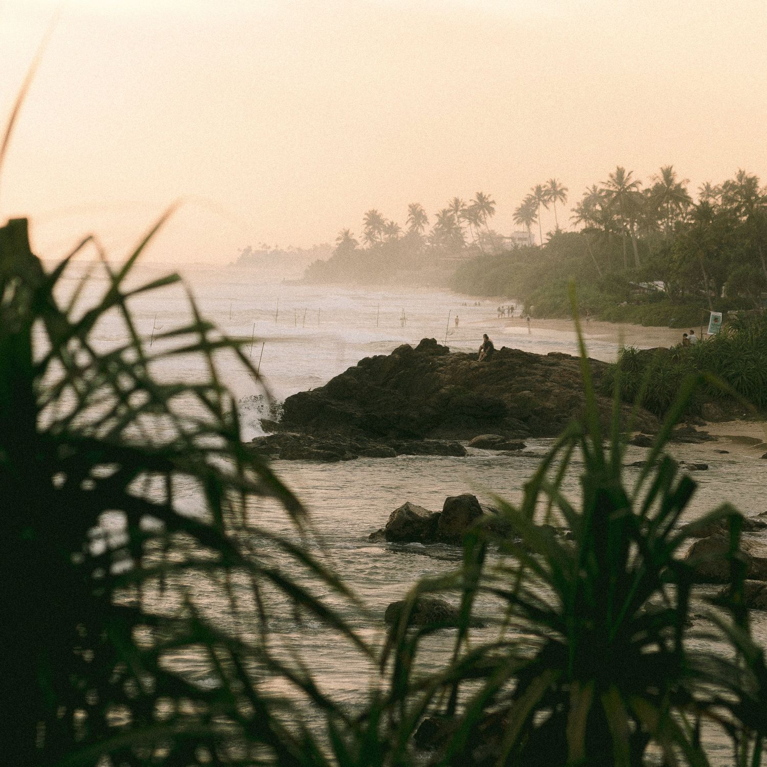 A tropical coastal sunset view with palm trees and rocky shoreline.