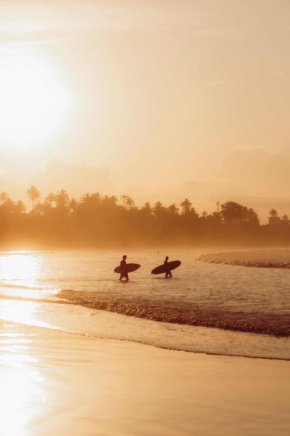 Two surfers carry boards through golden sunset waves on a tropical beach lined with palm trees.